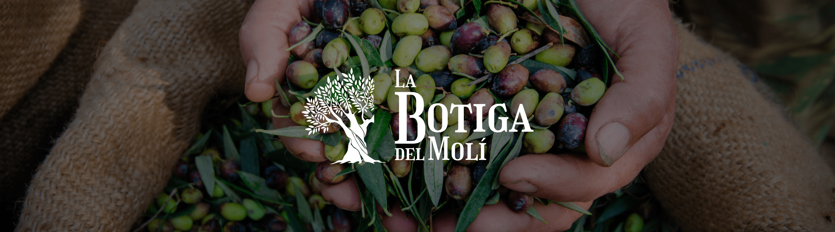 La Botiga del Molí