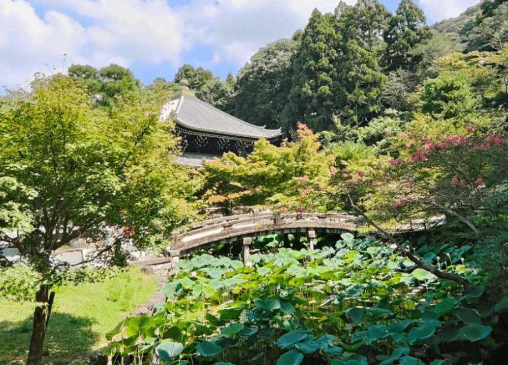 Japón